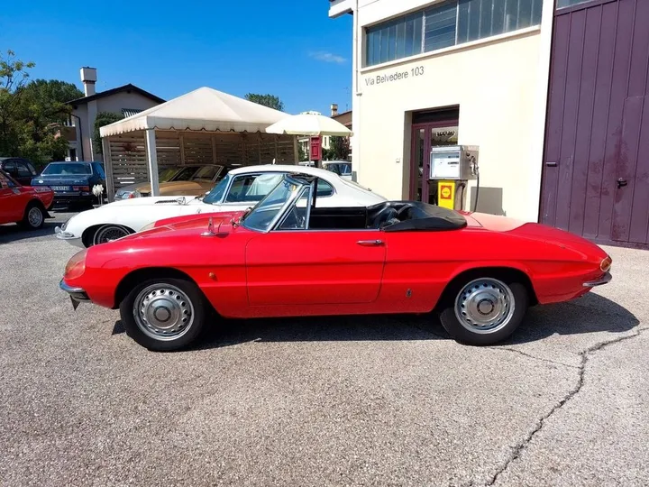 Alfa Romeo Spider