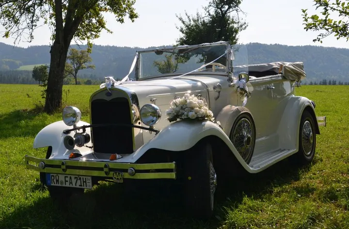 Ford Other