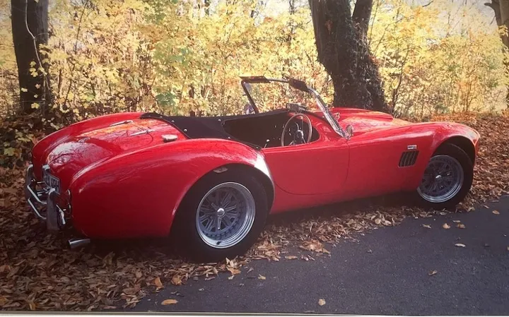 Cobra Other