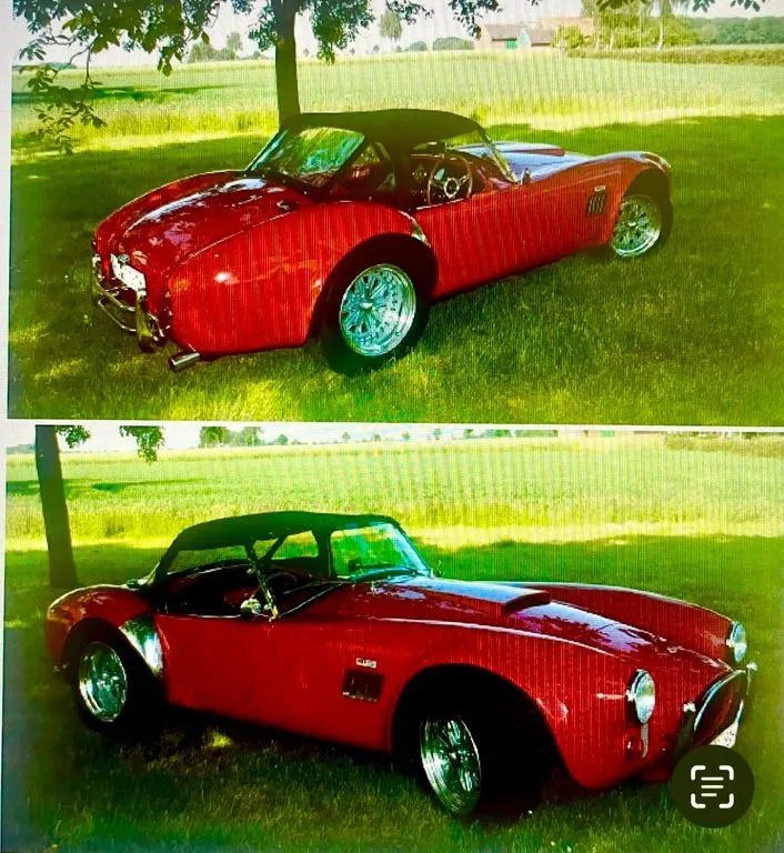 Cobra Other