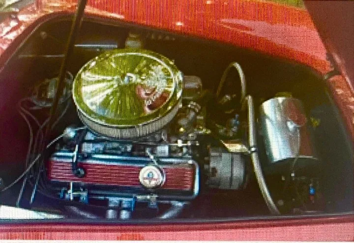 Cobra Other