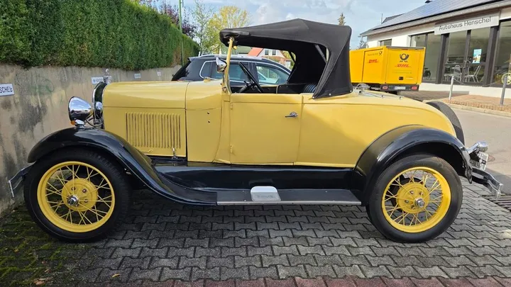 Ford Other