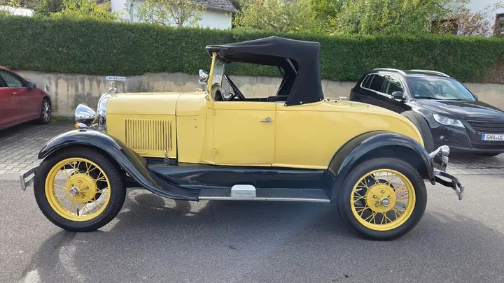 Ford Other