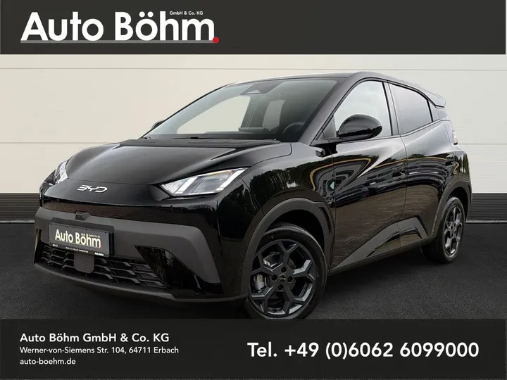 BYD DOLPHIN SURF