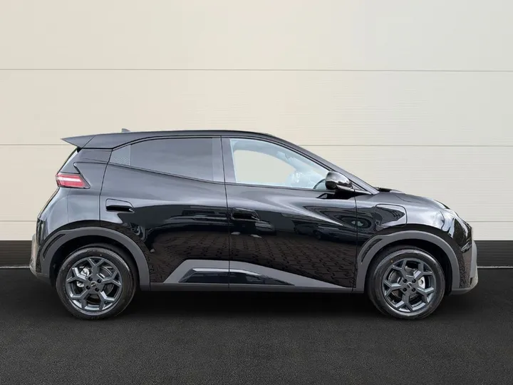 BYD DOLPHIN SURF