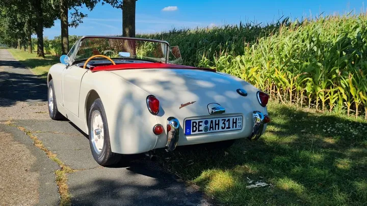Austin Healey Other