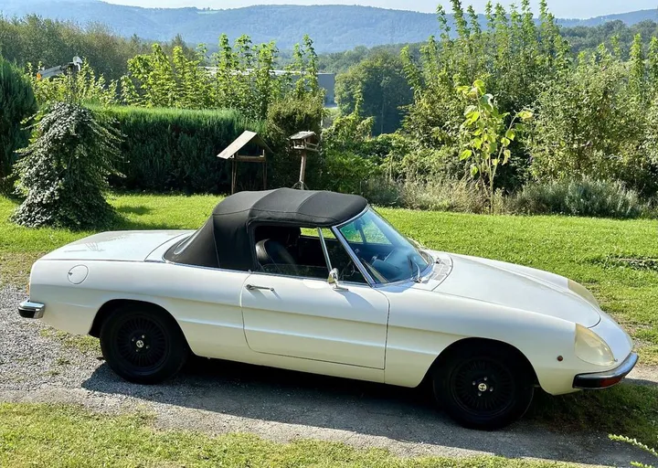 Alfa Romeo Spider