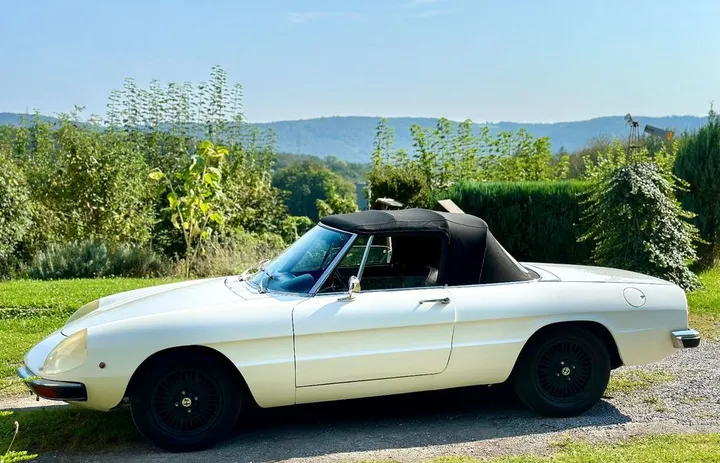 Alfa Romeo Spider