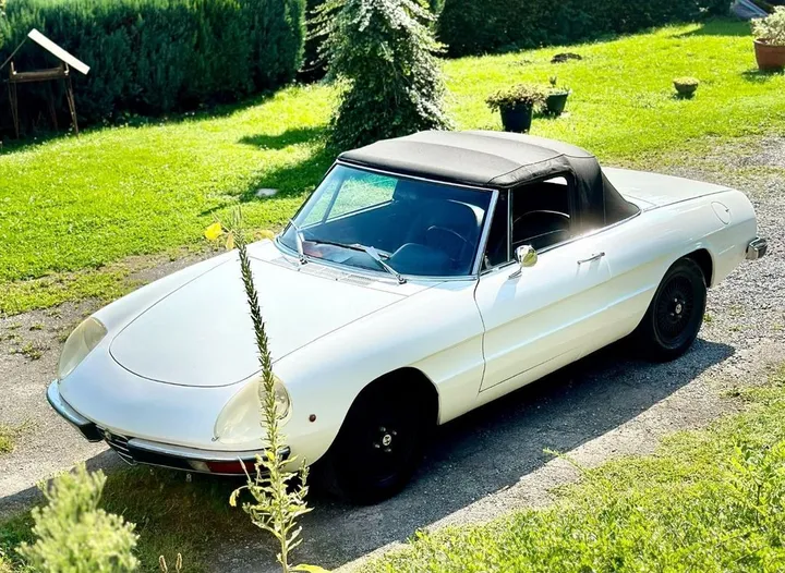 Alfa Romeo Spider