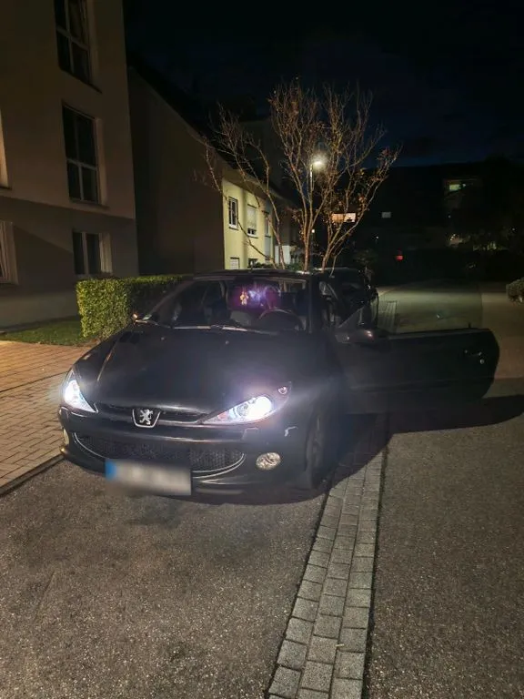 Peugeot 206