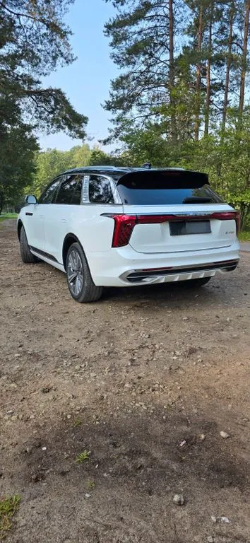 Hongqi E-HS9