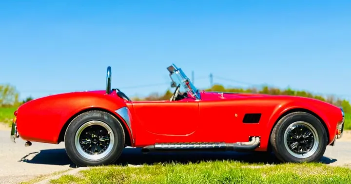Cobra Other
