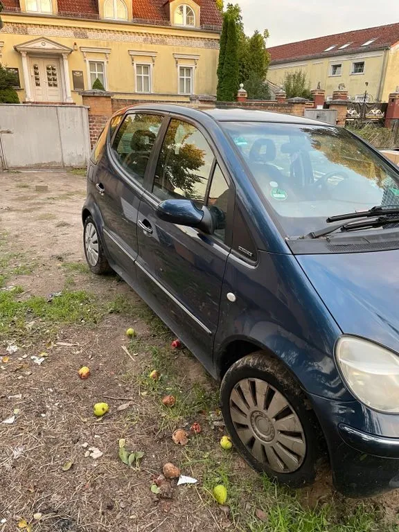Mercedes-Benz Other