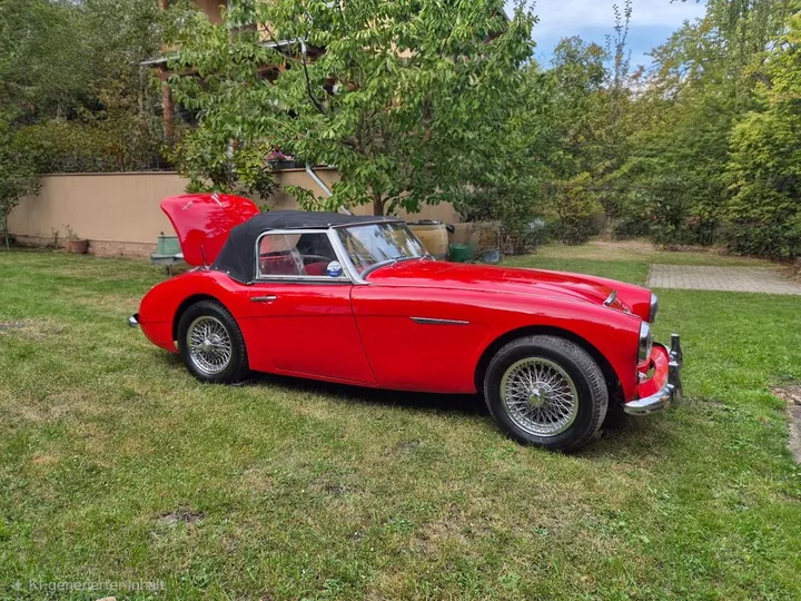 Austin Healey Other