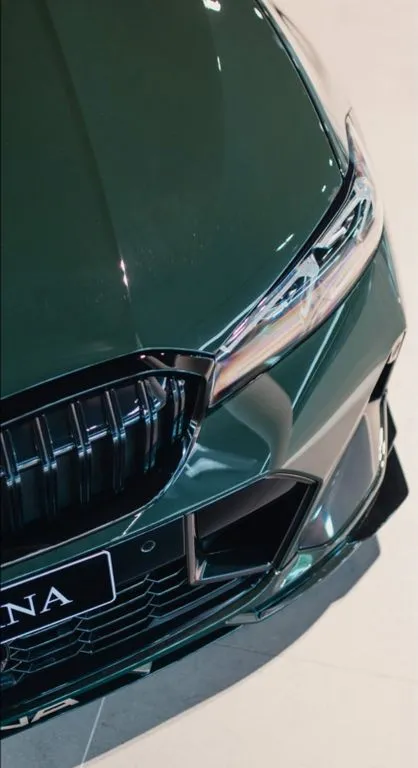 ALPINA B3