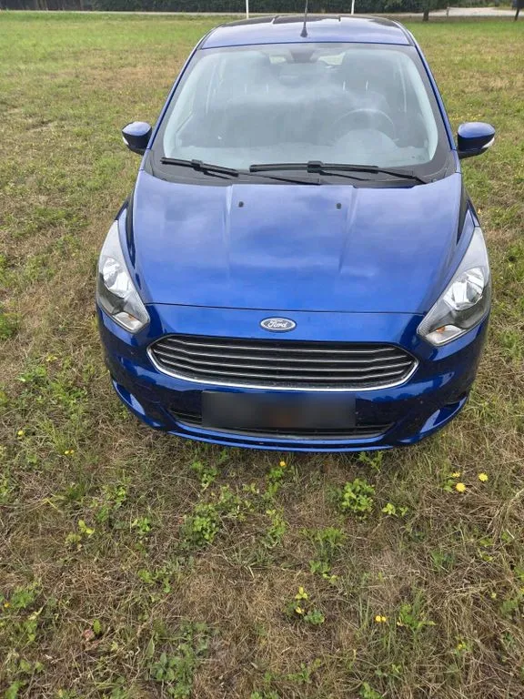 Ford Other
