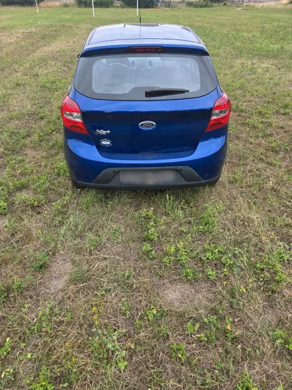 Ford Other