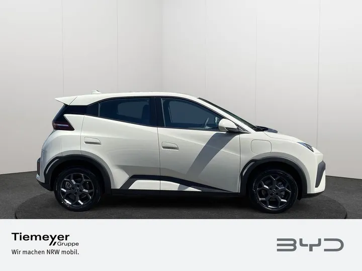 BYD DOLPHIN SURF