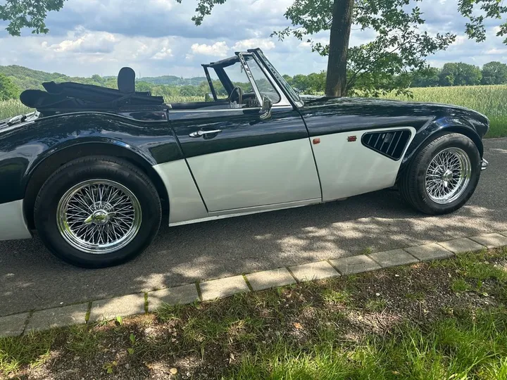 Austin Healey Other