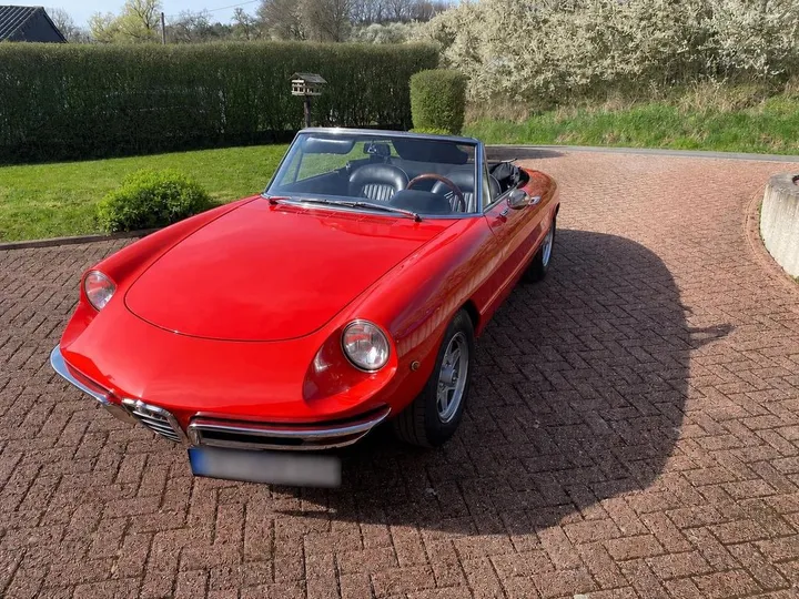 Alfa Romeo Spider