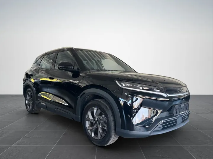BYD ATTO 2