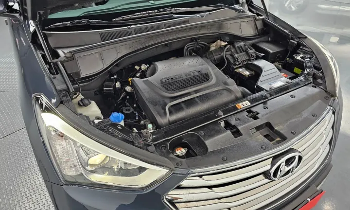 Hyundai Maxcruz