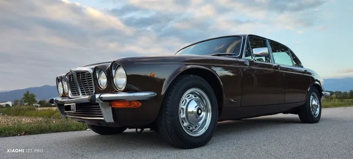 Jaguar Other