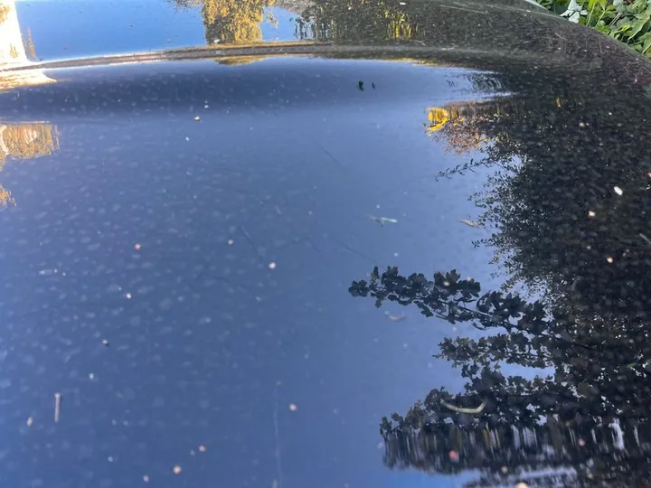 Mercedes-Benz SLK 200