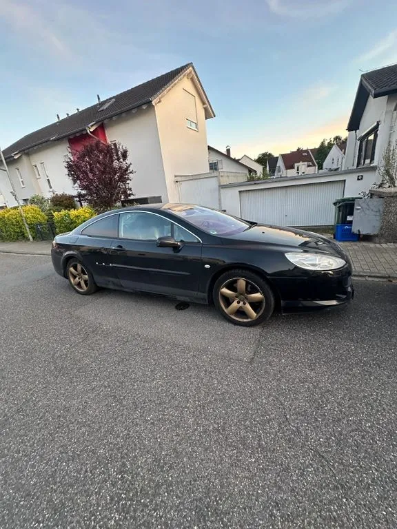 Peugeot 407