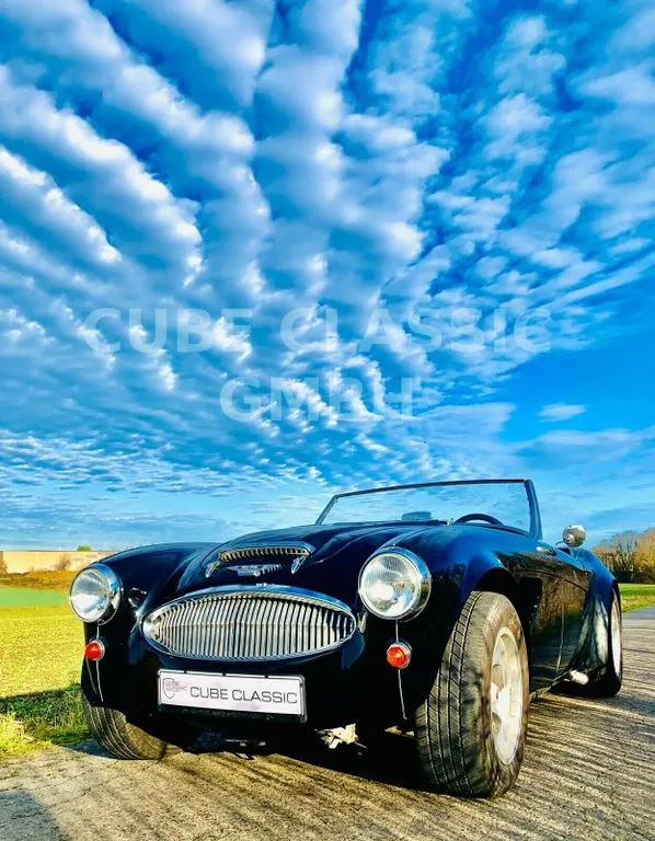 Austin Healey Other