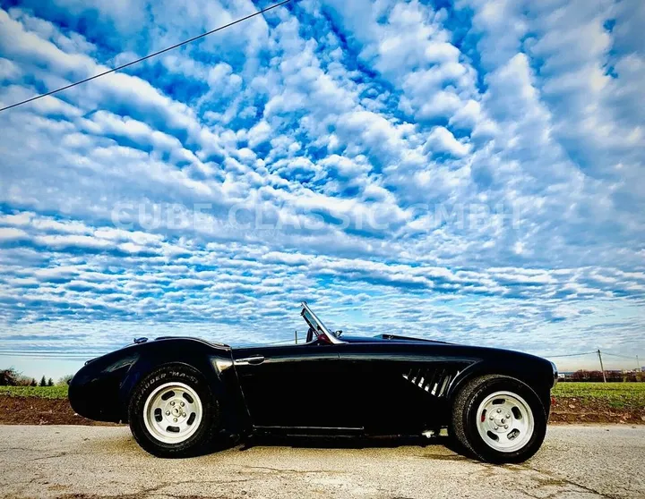 Austin Healey Other