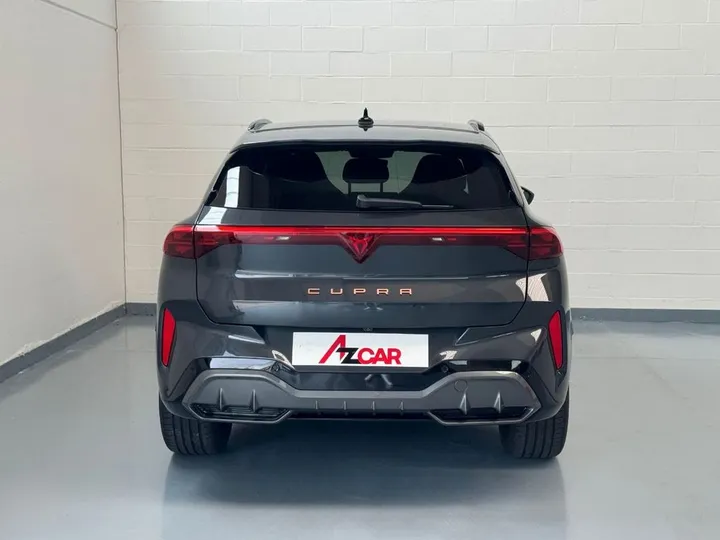 Cupra Other