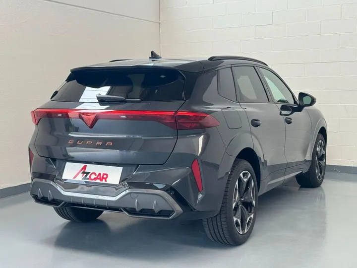 Cupra Other