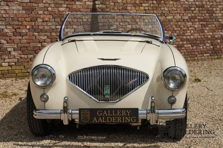 Austin Healey Other