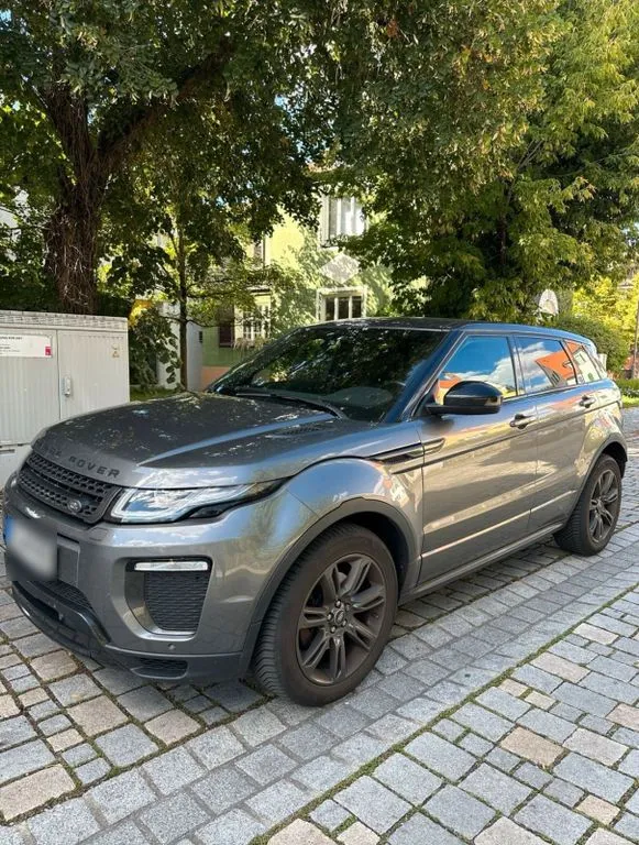 Rover Other
