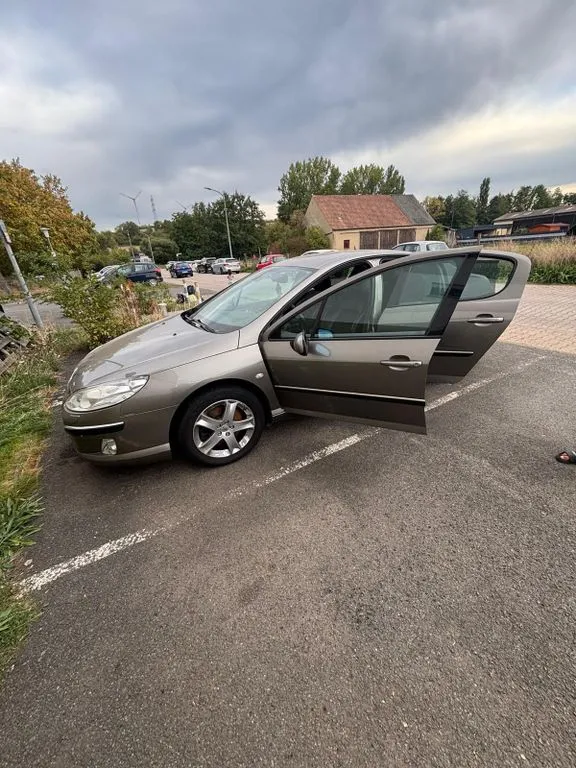 Peugeot 407