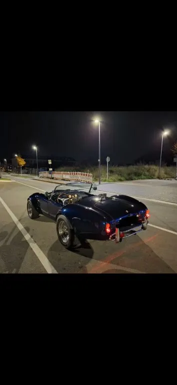 Cobra Other