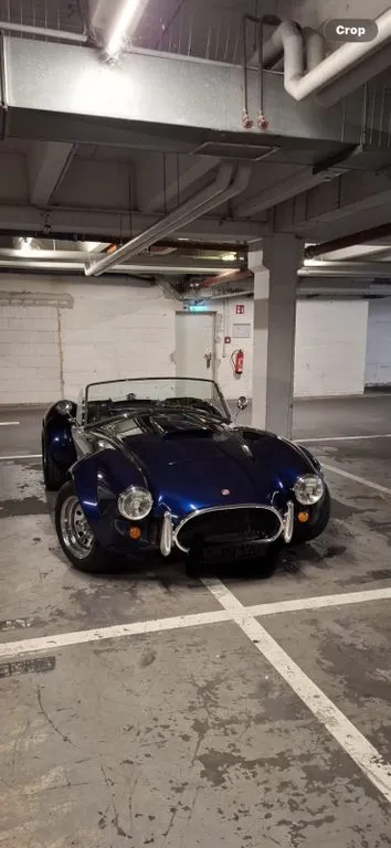 Cobra Other