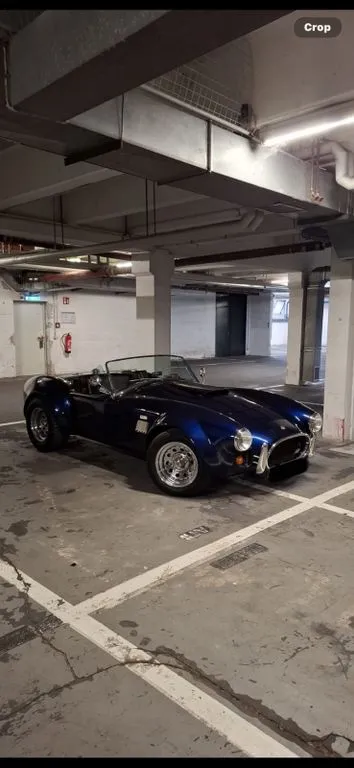 Cobra Other