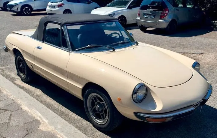 Alfa Romeo Spider