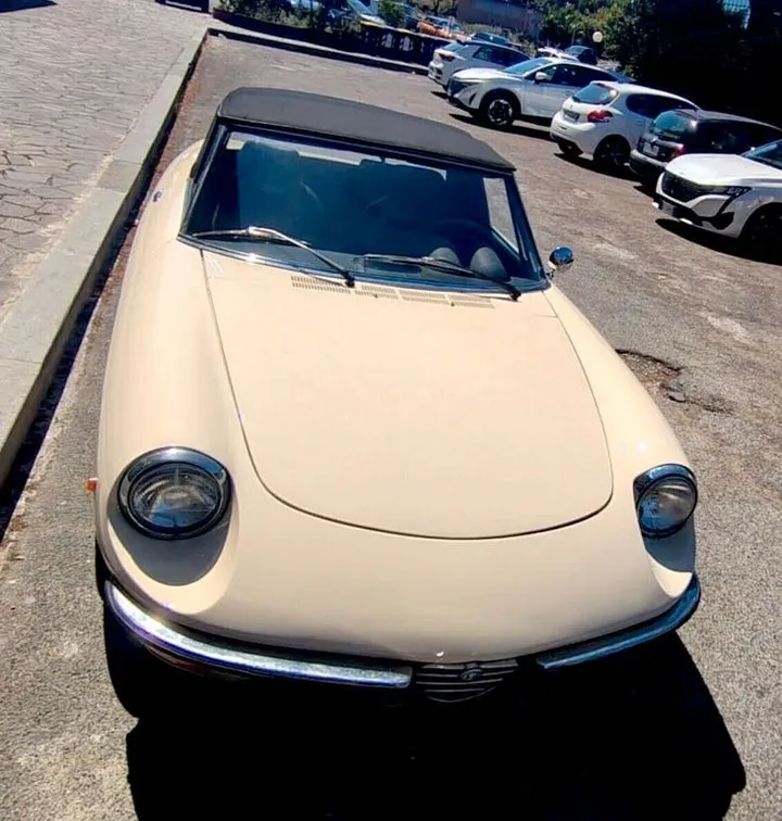 Alfa Romeo Spider