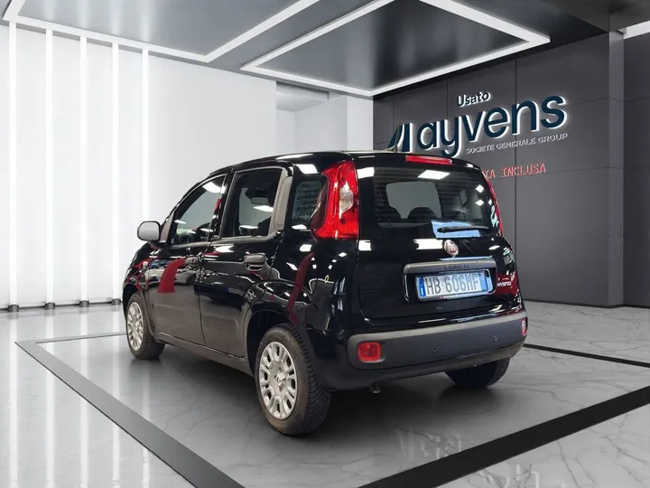 Fiat Other