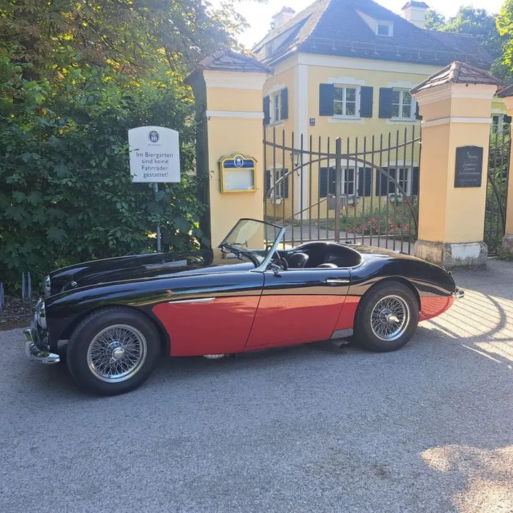 Austin Healey Other