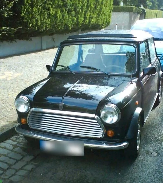 MINI 1300