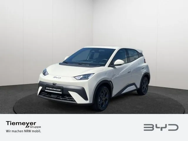 BYD DOLPHIN SURF