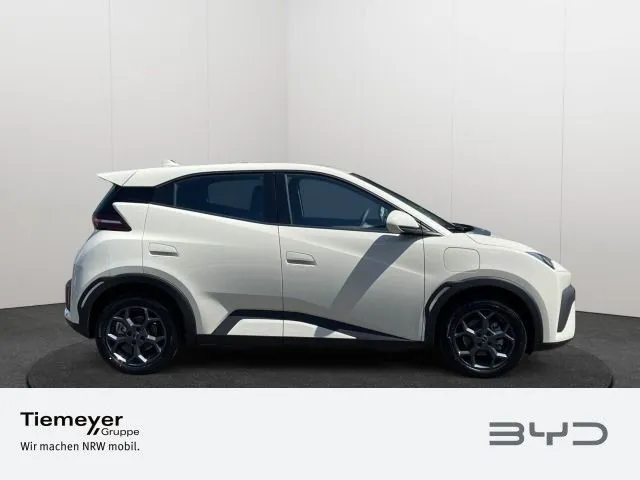 BYD DOLPHIN SURF