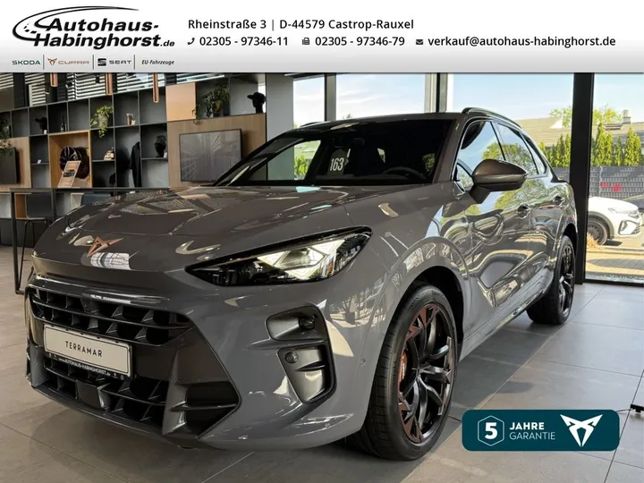 Cupra Terramar