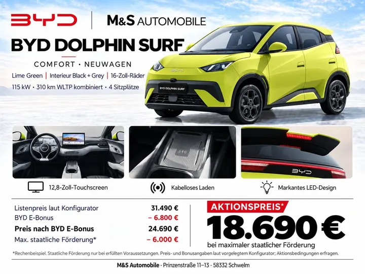 BYD DOLPHIN SURF