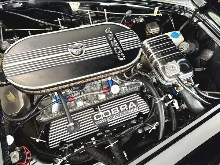 Cobra Other