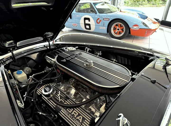 Cobra Other